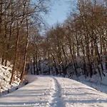 Prázdninový dům In Vogtland