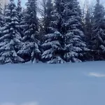 In Vogtland Prázdninový dům *