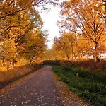 Prázdninový dům In Vogtland Trieb
