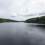In Vogtland Trieb