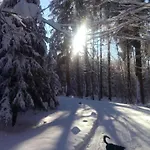In Vogtland Prázdninový dům Trieb