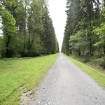 In Vogtland *