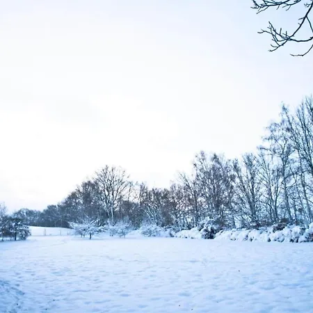 In Vogtland Tatil Evi