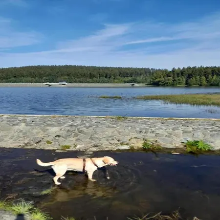 In Vogtland Casa vacanze