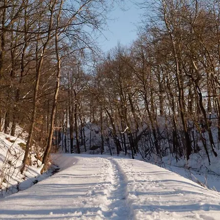 Dom wakacyjny In Vogtland