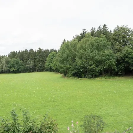 Tatil Evi In Vogtland *