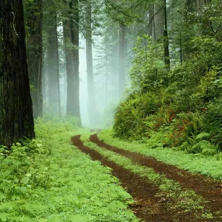 In Vogtland Casa vacanze