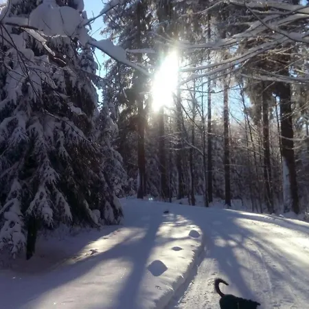 In Vogtland Tatil Evi Trieb