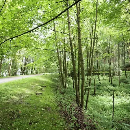 In Vogtland Tatil Evi *