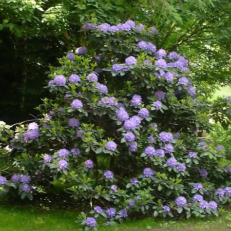 Casa vacanze In Vogtland Trieb