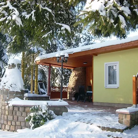 Prázdninový dům In Vogtland Trieb