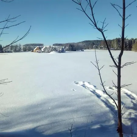 In Vogtland * Trieb