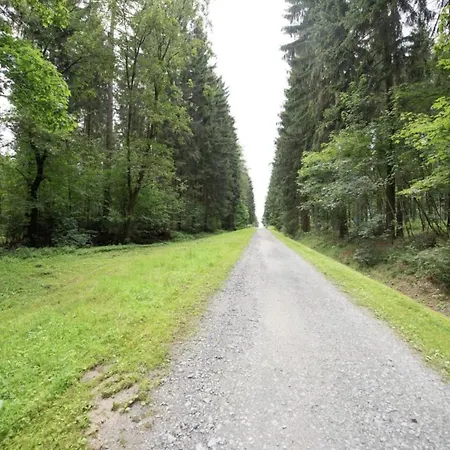 In Vogtland Vakantiehuis Trieb